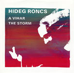 A Vihar / The Storm